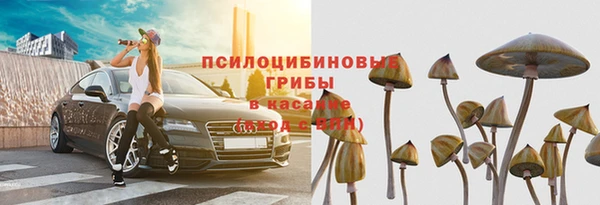 spice Армянск