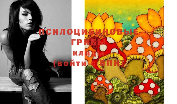 таблы Арсеньев
